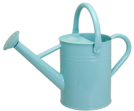 Lechloris Regadera de metal para plantas al aire libre, regadera de acero galvanizado de 1 galón con boquilla extraíble para uso en exteriores e interiores, perfecta para flores de jardín, plantas de