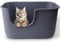 Vealind Large High Sided Cat Litter Tray Extra Deep Cats Litter Box for Multi Kitty with Household, High Wall Cat Litter Tray Anti-Splashing Kitty Litter Box (Grey)