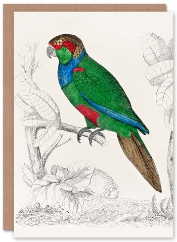 Artery8 Oliver Goldsmith Art Card Parakeet Parrot Bird Drawing