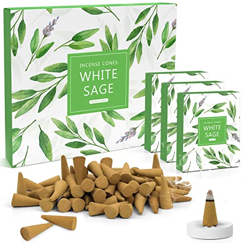 LA BELLEFÉE Cônes d'Encens Sauge Blanche Parfum, Assortiment Encens Cône 120pcs, Encens Naturels pour Méditation Yoga Purification Relaxation
