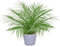 Hollyone Palmier artificiel - Petites plantes artificielles dans un pot en céramique - 40 cm - Plantes artificielles comme de vraies plantes d'intérieur pour maison, salon, cuisine, décoration de