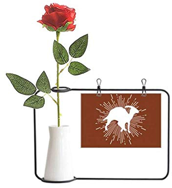 OFFbb-USA Künstliche Rosen, hängende Vasen in Körperform