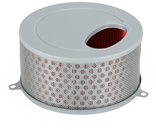 Areyourshop Filtro de aire lavable apto para Daelim Daystar VL125 Fi EFI 17213-BA1-0000 Alto flujo de aire y excelente filtración