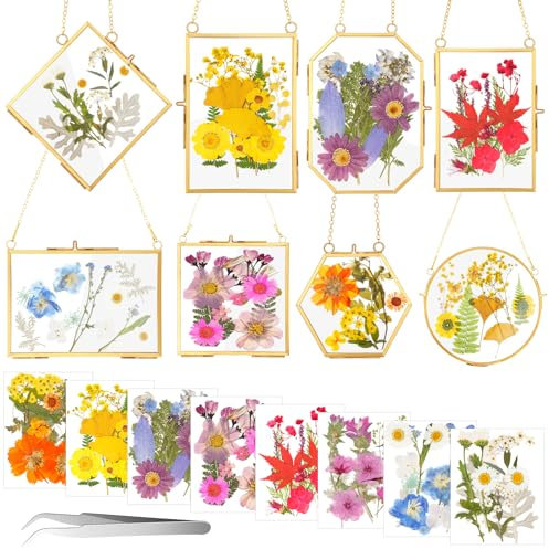 Barydat Bilderrahmen aus gepresstem Glas, 5 verschiedene Formen, zum Aufhängen, Fotorahmen mit 8 Beuteln, getrocknete Blumen, Kette für Kunstwerkrahmen, Heimdekoration, Pflanze, Exemplare,