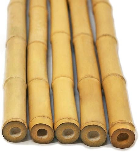 FlickBuyz Bamboo Canes - Plant Supports for Outdoor Plants – All Lengths 2,3,4,5,6,7 & 8ft Garden Canes, Heavy Duty Professional Bamboo Sticks for Plants, Garden Plant Supports (5, 4ft, 12-14mm)