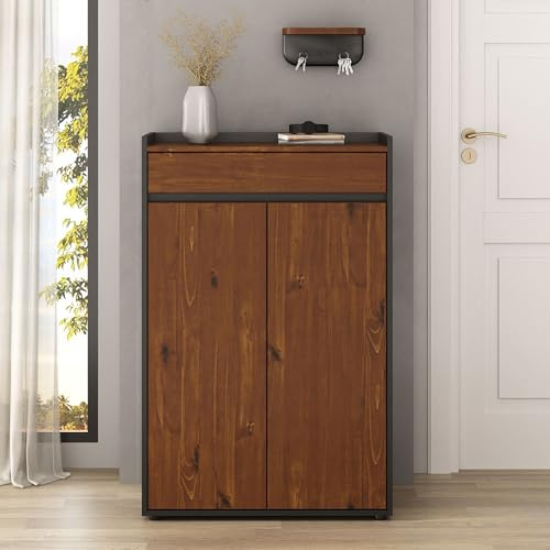 IDIMEX Meuble à Chaussures TILO avec 2 Portes et 1 Tiroir, en Bois Coloris Noir et Châtaignier, pour 12 à 14 Paires, Rangement à Chaussures Entrée, Étagère
