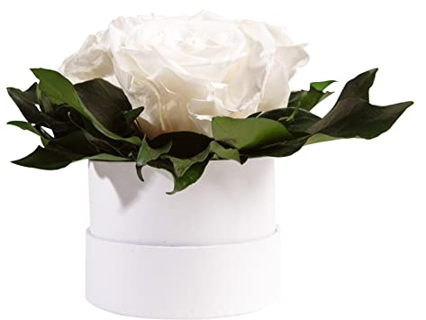ROSEMARIE SCHULZ Heidelberg Infinity Rosenbox weiß rund konservierte Blumen Weiß - 3 Infinity Rosen Durchmesser 15 cm - Geschenk für Hochzeitstag (Weiß, Medium)
