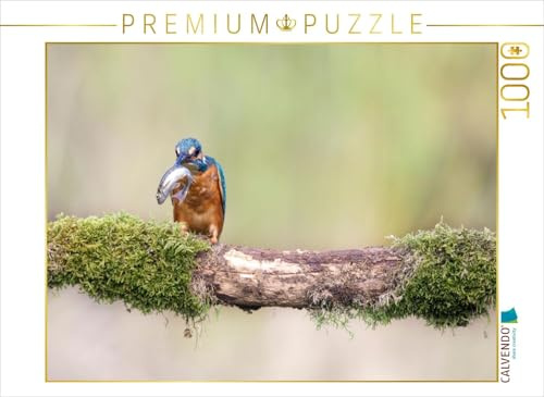 CALVENDO Puzzle Eisvogel mit Fisch im Schnabel | 1000 Teile Lege-Größe 64 x 48 cm Foto-Puzzle für glückliche Stunden
