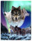 Violetpos Dick Decke Weich Wärme Gemütlich Flanell-Fleece Sofadecke Deckeldecke Wölfe Aurora Schneewald 150 x 200 cm