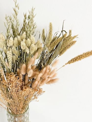Mazzo bouquet di fiori secchi misti naturali essiccati da 100 steli | Bunny Tails Lagurus, Broom Bloom Nebbiolina, Avena, Phalaris, fiorellini di campo essiccati naturali