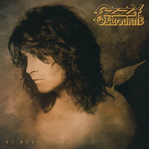 No More Tears [Vinyl LP]