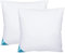 Sandaro Home Kopfkissen 80x80 2er Set | Federkissen 80 x 80 cm mit 100% natürlichen Federfüllungen, Federkopfkissen 80x80 Set mit Gänsefedernfüllung im Baumwollbezug, Öko-Tex Zertifiziert (2000)
