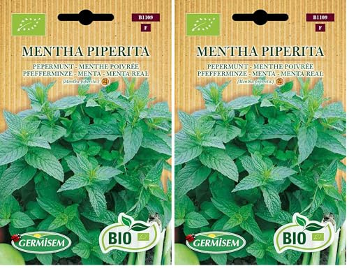 Germisem Orgánica Mentha Piperita Semillas de Menta 3 g, ECBIO1109 (Paquete de 2)