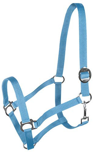 York Nylonhalfter Halfter Genickstück Verstellbar durch Schiebeschnalle Harmony Pferdehalfter (Cob, hellblau)