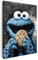 Artmazing | Krümelmonster Bild bunt | S-Art Bilder | Krümelmonster Bilder Modern | Coole Wandbilder Wohnzimmer | Wandbild Krümelmonster Deko XXL | Bild Leinwand XXL | buntes Poster für Wand