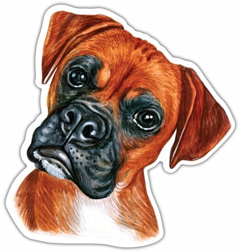 Samunshi® Boxer Aufkleber Autoaufkleber für Motorrad Fahrrad Roller oder Auto Sticker Fahrrad Mtb Mountainbike Rennrad Hund Dog Dogo 10cm Boxer