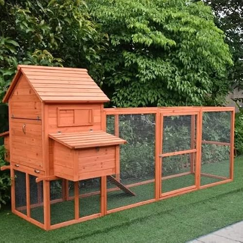 The Eggland Chicken Coop – Natural Wood Backyard Poultry House for 6–9 Chickens | Secure Hen, Duck & Rabbit Hutch with Nesting Boxes, Ramp, Door Access & Ventilated Cage Design