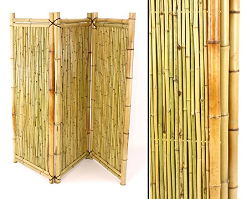 Paravent en bambou 3 pièces 150 x 180 cm – Paravent en tiges de bambou laquées avec tubes de bambou encadrés 1,5 m x 1,8 m