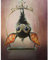 DIY 5D Diamant Painting Voll Set für Erwachsene/Kinder, Cartoon Fledermaus Diamant Gemälde Full Kristall Strass Diamant Stickere Kreuzstich Diamant Malerei Kunst Handwerk Home Wand Dekor 30x40cm E868
