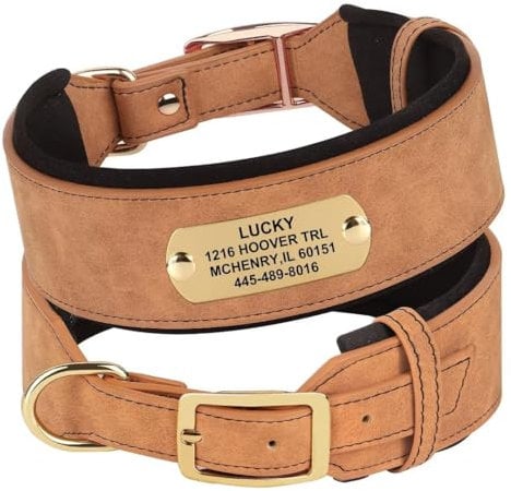 PET ARTIST 5 cm Breite personalisierte PU Leder Hundehalsband für großen Hund mit weichem dickem gepolstertem Hundehalsband mit graviertem Namen für Rottweiler Dog Fit Hals 48-58cm