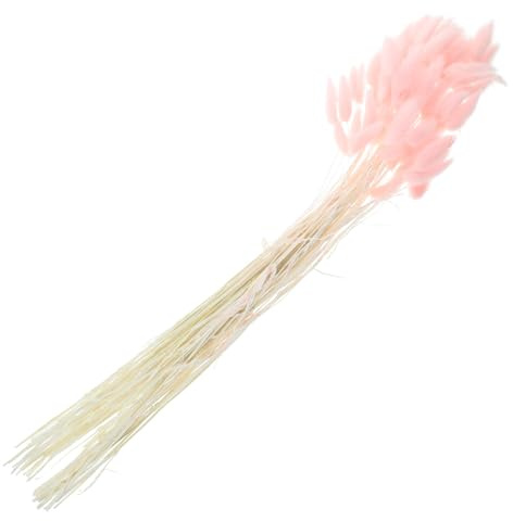 120stücke Kaninchenschwanzgras Natürliches Getrocknetes Rosa | Dekoration mit Trockenpflanzen, Blumenarrangement Selbstgemacht Dekoration, für Vasen und Tischmitte, Leicht