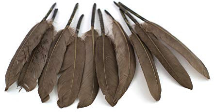 10 Indianerfedern ca. 10-15cm (taupe 823) // Dekofedern Bastelfedern Masken Federn Schmuckfedern Vogelfedern