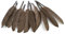 10 Indianerfedern ca. 10-15cm (taupe 823) // Dekofedern Bastelfedern Masken Federn Schmuckfedern Vogelfedern