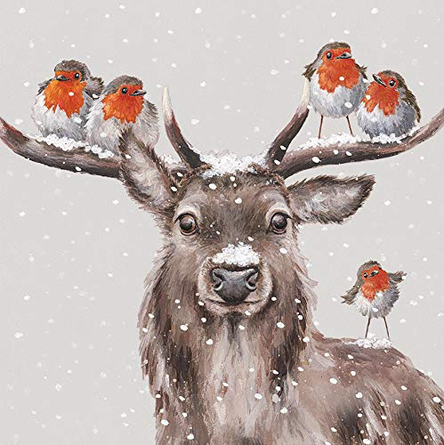 Wrendale Designs Grußkarten-Set (WRE-LXB008) „Festive Friends“ mit Hirsch und Rotkehlchen, Silberfolien-Finish, in Box, englische Version, 8 Stück
