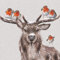 Wrendale Designs Grußkarten-Set (WRE-LXB008) „Festive Friends“ mit Hirsch und Rotkehlchen, Silberfolien-Finish, in Box, englische Version, 8 Stück