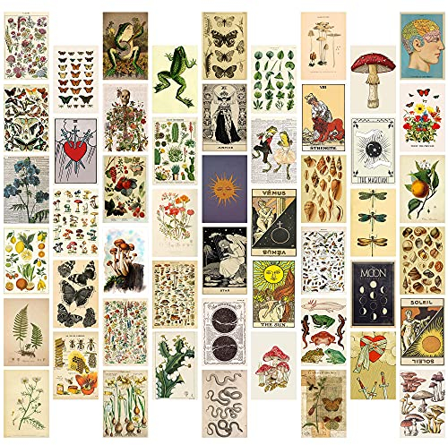 50 Stück Vintage Botanical Wall Collage Kit, ästhetisches Bild Indie Room Decor, Art Poster für Klassenzimmer, Wohnheim-Wanddekoration, Wandkunstdrucke für VSCO Mädchen Jungen