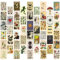 50 Stück Vintage Botanical Wall Collage Kit, ästhetisches Bild Indie Room Decor, Art Poster für Klassenzimmer, Wohnheim-Wanddekoration, Wandkunstdrucke für VSCO Mädchen Jungen