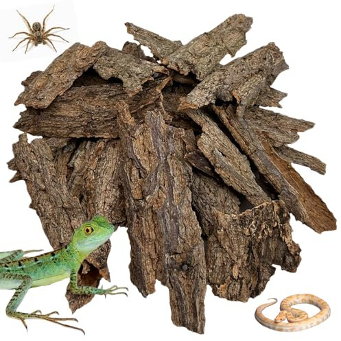 Apatal Reptilienkorkenrinde Bulk 0,9 kg Korkholz für Terrarium, Natur Flachkork Einstreu Terrarium Substrat für Bartagamen Schlange Spinnen Einsiedlerkrebse Geckos Schildkröte