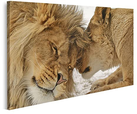 islandburner Bild auf Leinwand Löwe und Löwin kuschelnd Zärtlich Harmonie Partnerschaft Liebe Wandbild Poster Kunstdruck Bilder