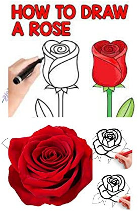 How to draw a style rose: drawing flower one step after another (English Edition)