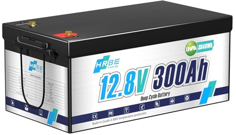 HRBEENERGY 12V 300AH batterie LiFePO4, 3480Wh batterie lithium avec chargeur, sécurisé BMS intégré Protect, 7000+ Deep Cycle Recharging, idéal pour RV/Solar/Marine/Off-grid/Trolling Motor