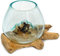 Wurzel mit Glasvase Rund Ø ca.11-12 cm Glas Kugelvase Vase auf Holz Wurzelholz (Wurzel 15-20 cm) Braun
