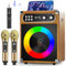MusyVocay Sistema Portatile di Karaoke, Versatile Cassa 20W con 2 Microfoni UHF Wireless e Slot di Ricaricabile, Karaoke Professionale Completo per Gli Amici a Casa