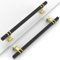 Coinkoly 10 Pack Gold & Black Cabinet Handles - 192MM Hole Centers - Kitchen Cupboard & Drawer Handles - UK0012