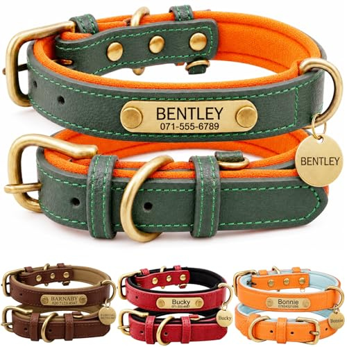 Collar de cuero personalizado para perro con placa de identificación grabada, ajuste cómodo ajustable para perros pequeños, medianos y grandes, collar personalizado para cachorros y perros adultos