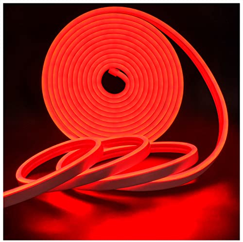 Tesfish Neon LED Streifen Licht, Rote Farbe Band DC 12V 5M 120 LEDs/M Insgesamt 600 LEDs Flexibel Lichtleisten für Schlafzimmer, Bar, Spielzimmer, Geburtstag, Weihnachtsfeier