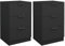vidaXL Mesitas de Noche 2 Unidades Negro 40x36x65 cm