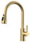 APPASO Gold Kitchen Tap, Kitchen Sink Taps Mixer with Pull Out Spray, Kitchen Mixer Tap with 3 Spary Modes, 360° Swivel Single Handle Gold Tap for Kitchen Stainless Steel Brushed Gold-Double Broom