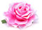 Wisafory 10 Stück Künstliche Blumenköpfe Rosen Blütenköpfe RosenKöpfe Kunst Blumen Rosen Köpfe Kunstblumen Rosen Seidenblumen Dekoration für Hochzeit Party DIY Basteln 11 cm Rosa-weiß