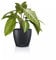 Lechuza Classico Color 14 Deco 16680 Pot de Table Gris Ardoise Mat Ø 15 x 13,5 cm
