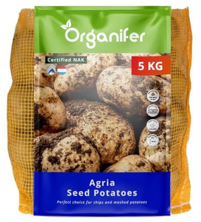 Patate Da Seme Agria A 28/35-5 Kg - Materiale Di Semina - Certificato Nak - Resistenza A Phytophthora Tuber - Adatto A Terreni Argillosi E Sabbiosi - Organifer