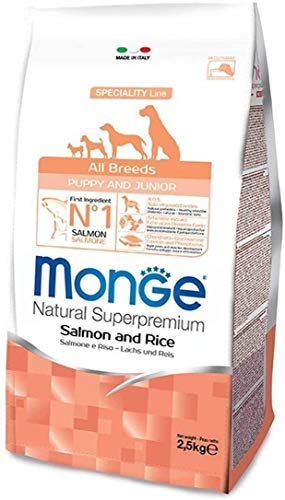 MONGE ALL BREED PUPPY & JUNIOR 12 kg (Lachs & RISO) - Super Premium Lachs für Hundewelpen, Monoprotein, 100% natürlich