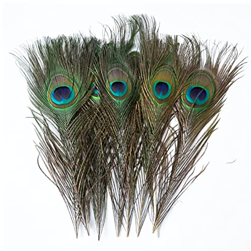 FENGHUNAYUE Federn, handgefertigt, Deko, Naturfedern, Handwerk, Braun, Fasan, Pfau, 15 Stück, für Basteln, Kostüme, Hüte, Handwerk