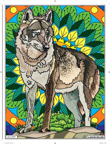 LudoColor : Tableau en Velours Le Loup à colorier - Fabrication Française