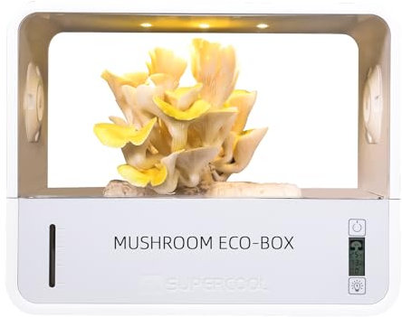 Crownow Mushroom Grow Box with Temperature and Humidity Display,Smart Mushroom Monotub Grow Kit,Indoor Mushroom Grow Tent with Grow light,Still Air Box for Indoor Mushroom Growers