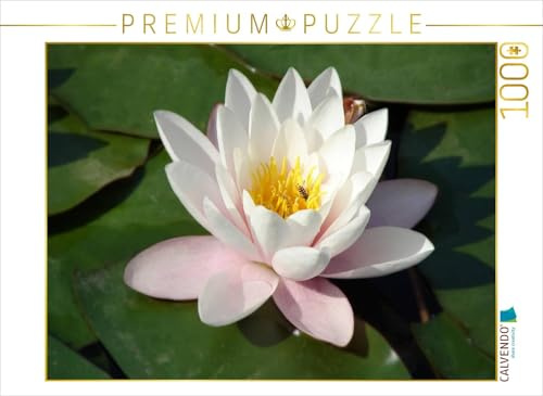 Puzzle · Juni | 1000 Teile · Lege-Größe 64 × 48 cm · CALVENDO Puzzle
